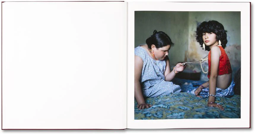 Alessandra Sanguinetti - The Adventures of Guille and Belinda and The Enigmatic Meaning of Their Dreams - Image 11