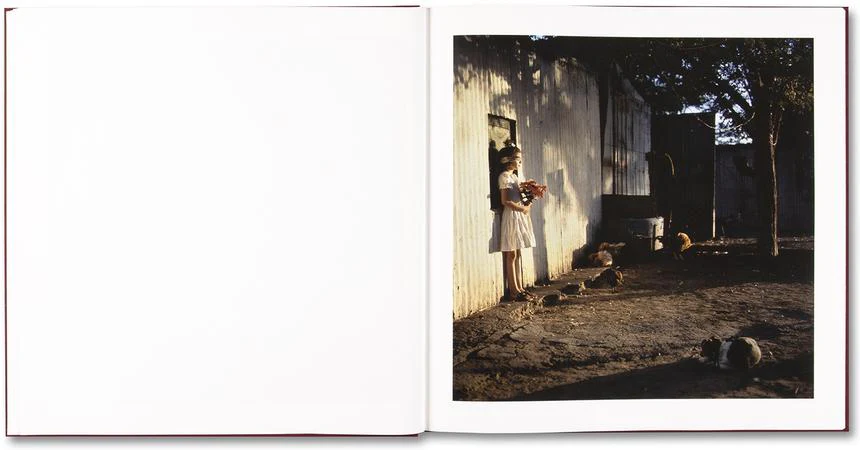 Alessandra Sanguinetti - The Adventures of Guille and Belinda and The Enigmatic Meaning of Their Dreams - Image 12