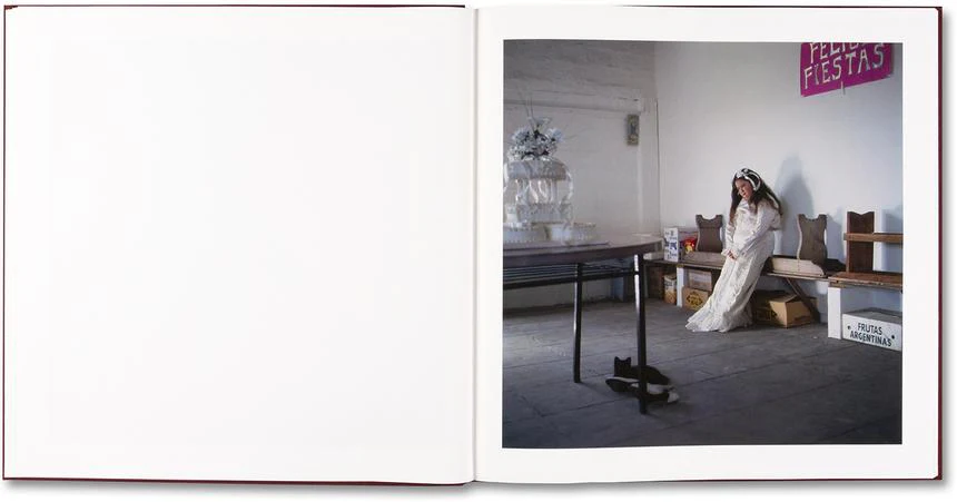 Alessandra Sanguinetti - The Adventures of Guille and Belinda and The Enigmatic Meaning of Their Dreams - Image 13