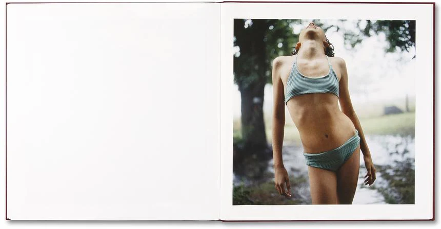 Alessandra Sanguinetti - The Adventures of Guille and Belinda and The Enigmatic Meaning of Their Dreams - Image 22