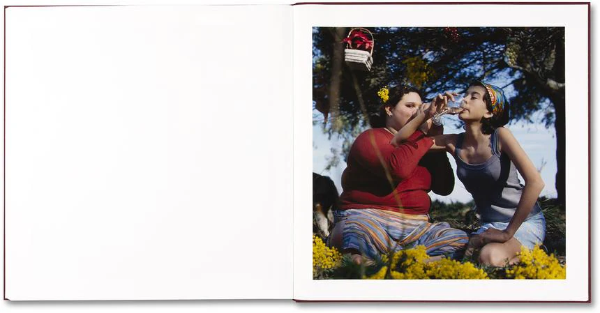 Alessandra Sanguinetti - The Adventures of Guille and Belinda and The Enigmatic Meaning of Their Dreams - Image 24