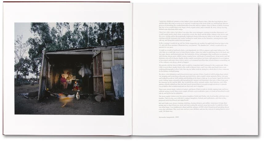 Alessandra Sanguinetti - The Adventures of Guille and Belinda and The Enigmatic Meaning of Their Dreams - Image 8