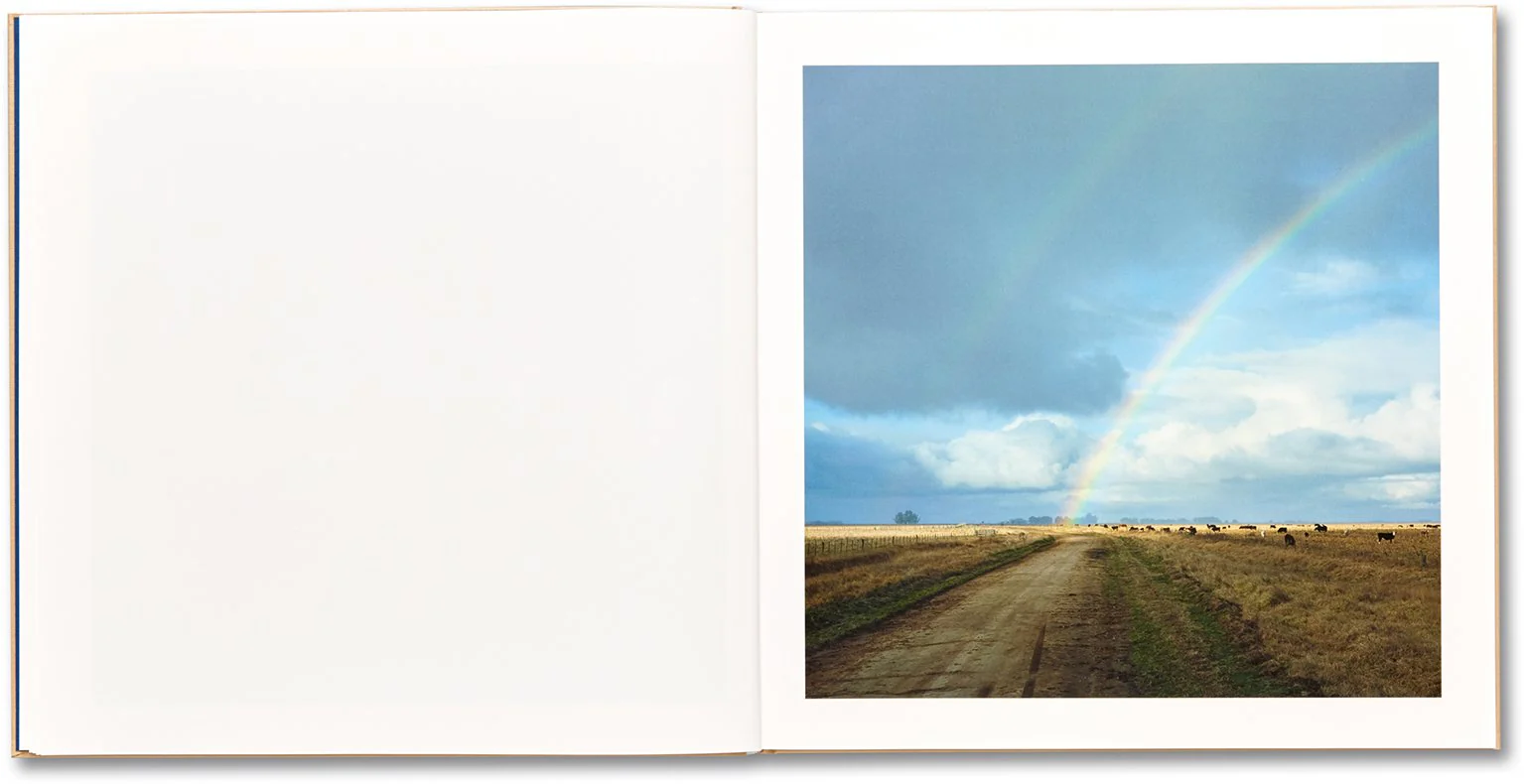 Alessandra Sanguinetti - The Adventures of Guille and Belinda and The Illusion of an Everlasting Summer - Image 7