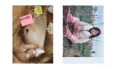 ALL-IN N°5 - Image 16
