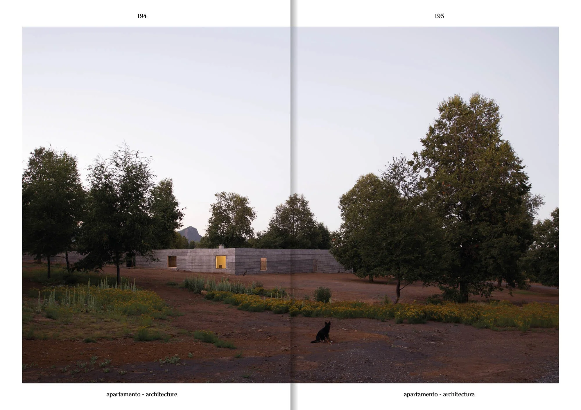 Apartamento Issue #37 - Image 17