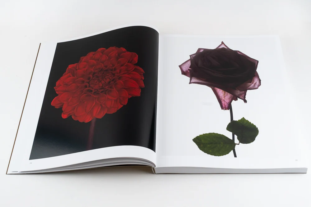 Blommers & Schumm - More - Image 12