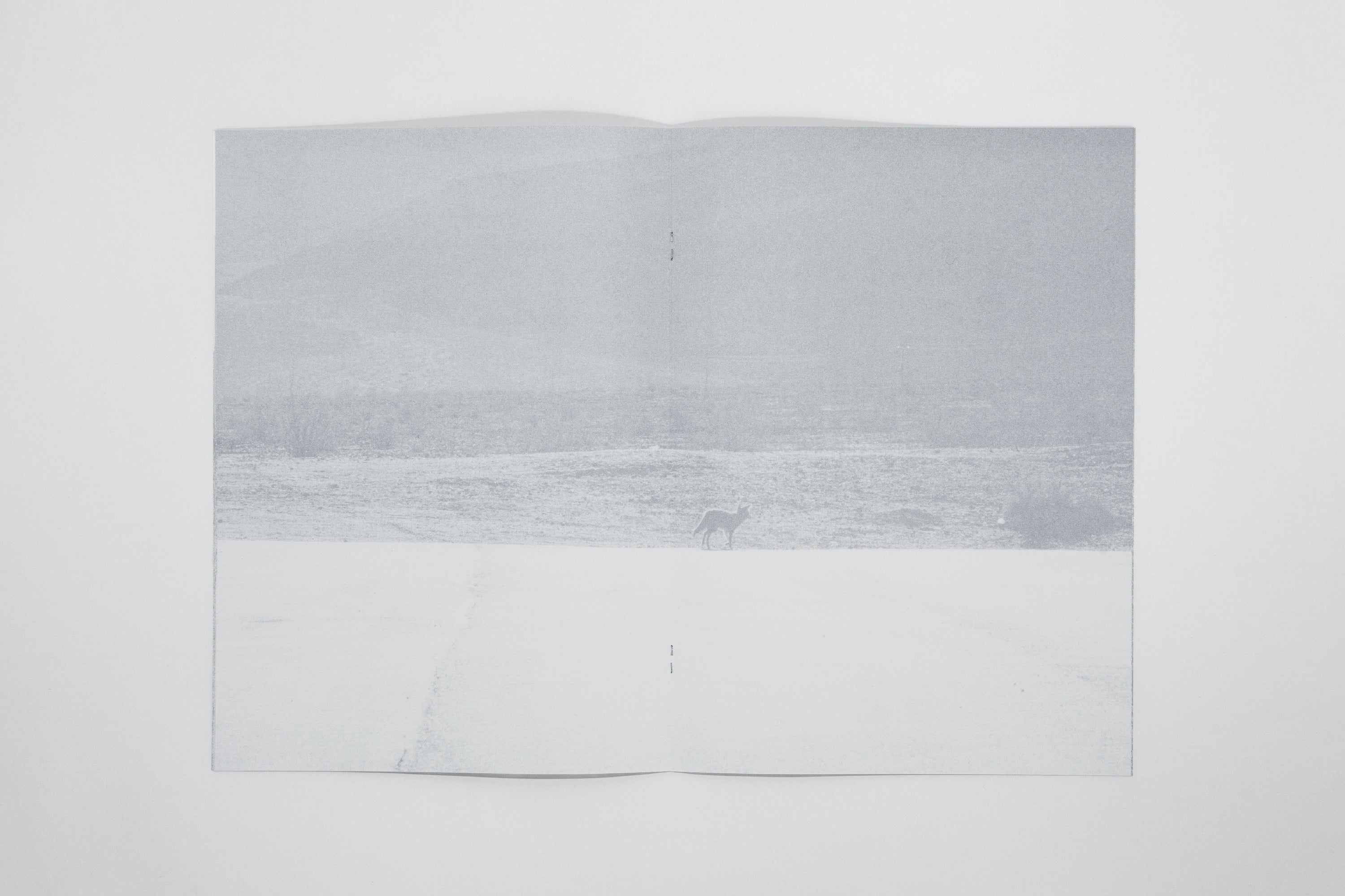 Daniel Gustav Cramer - Fox & Coyote - Image 7
