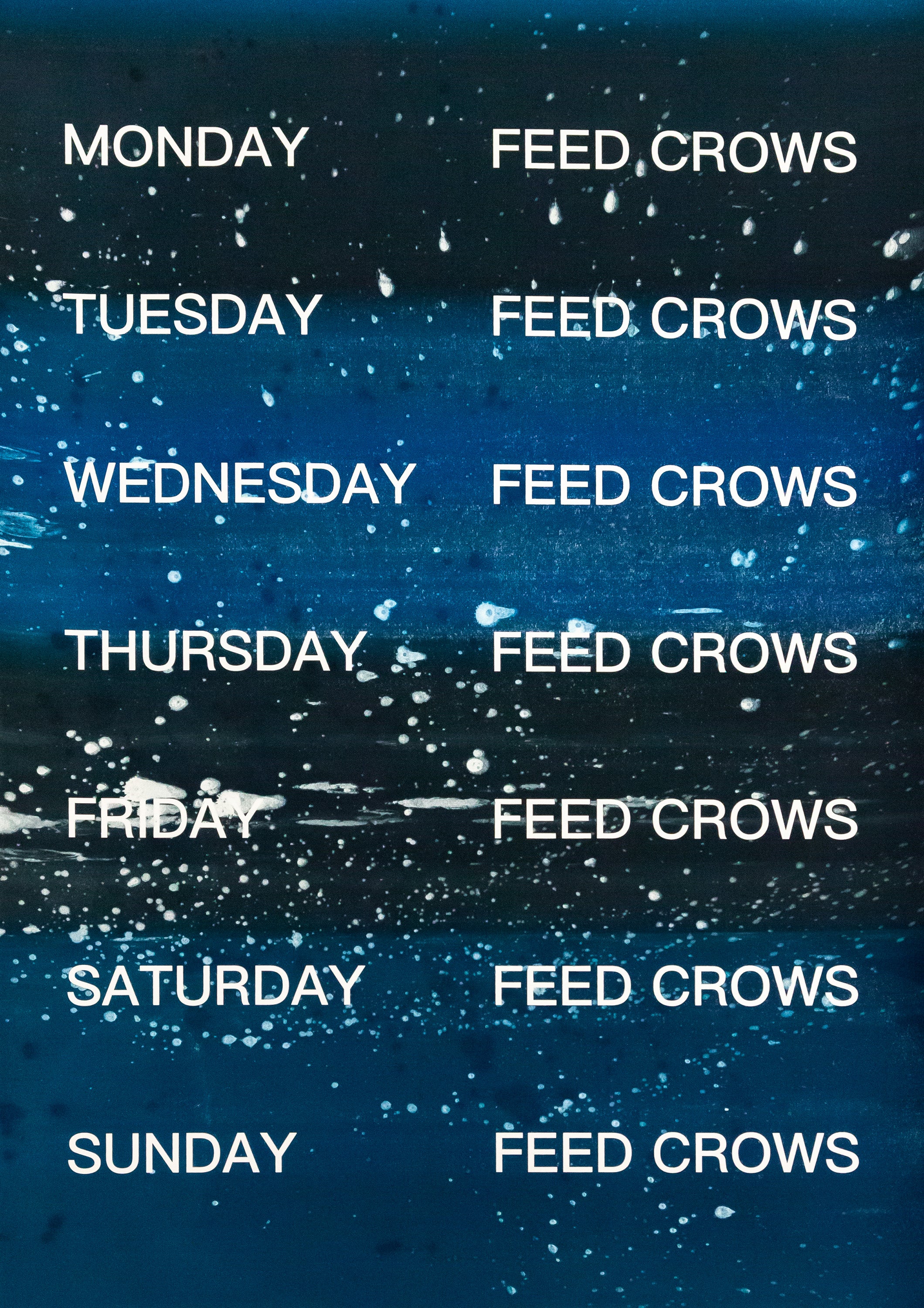 David Horvitz - Feed Crows (Print) - Image 20