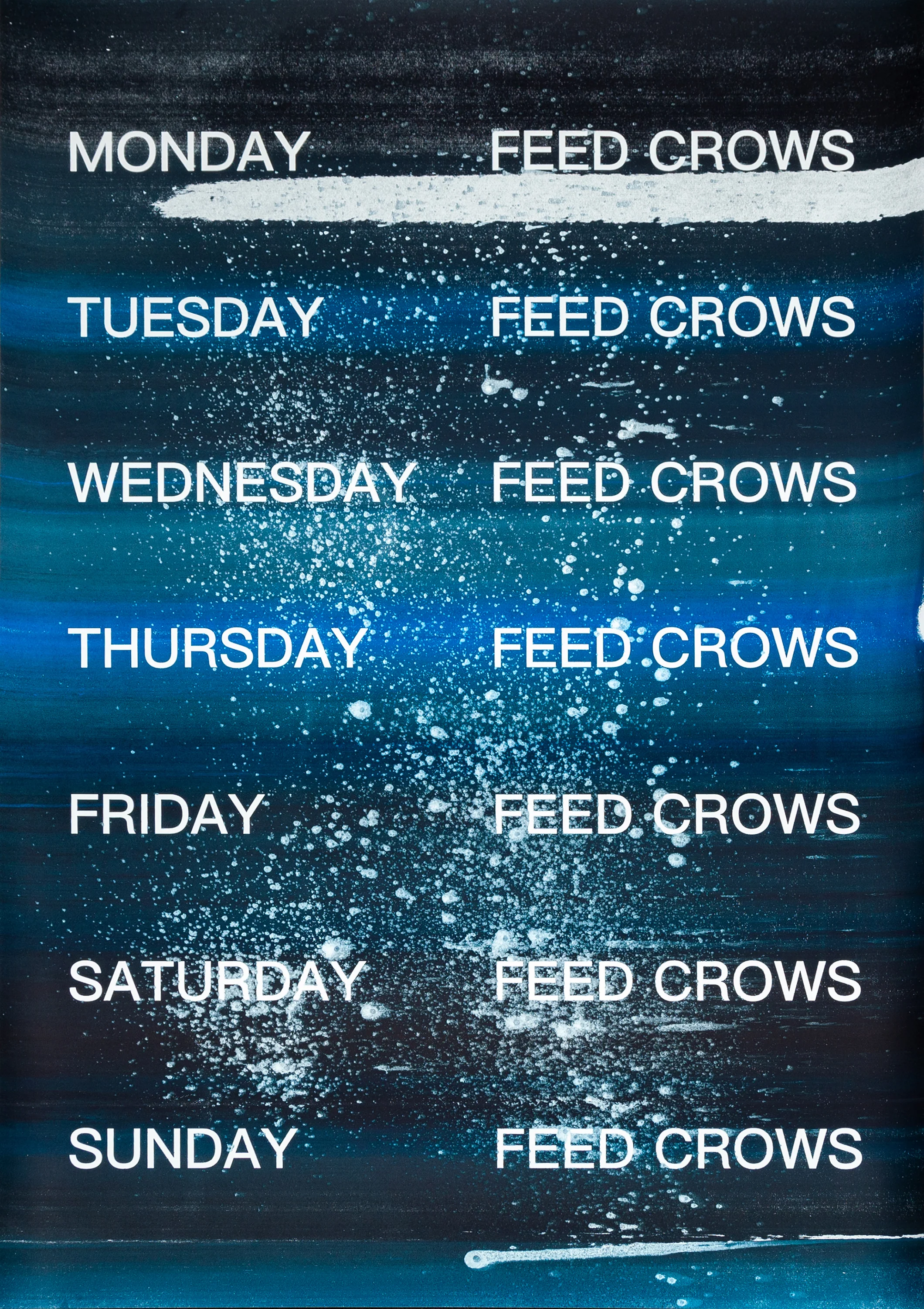 David Horvitz - Feed Crows (Print) - Image 23