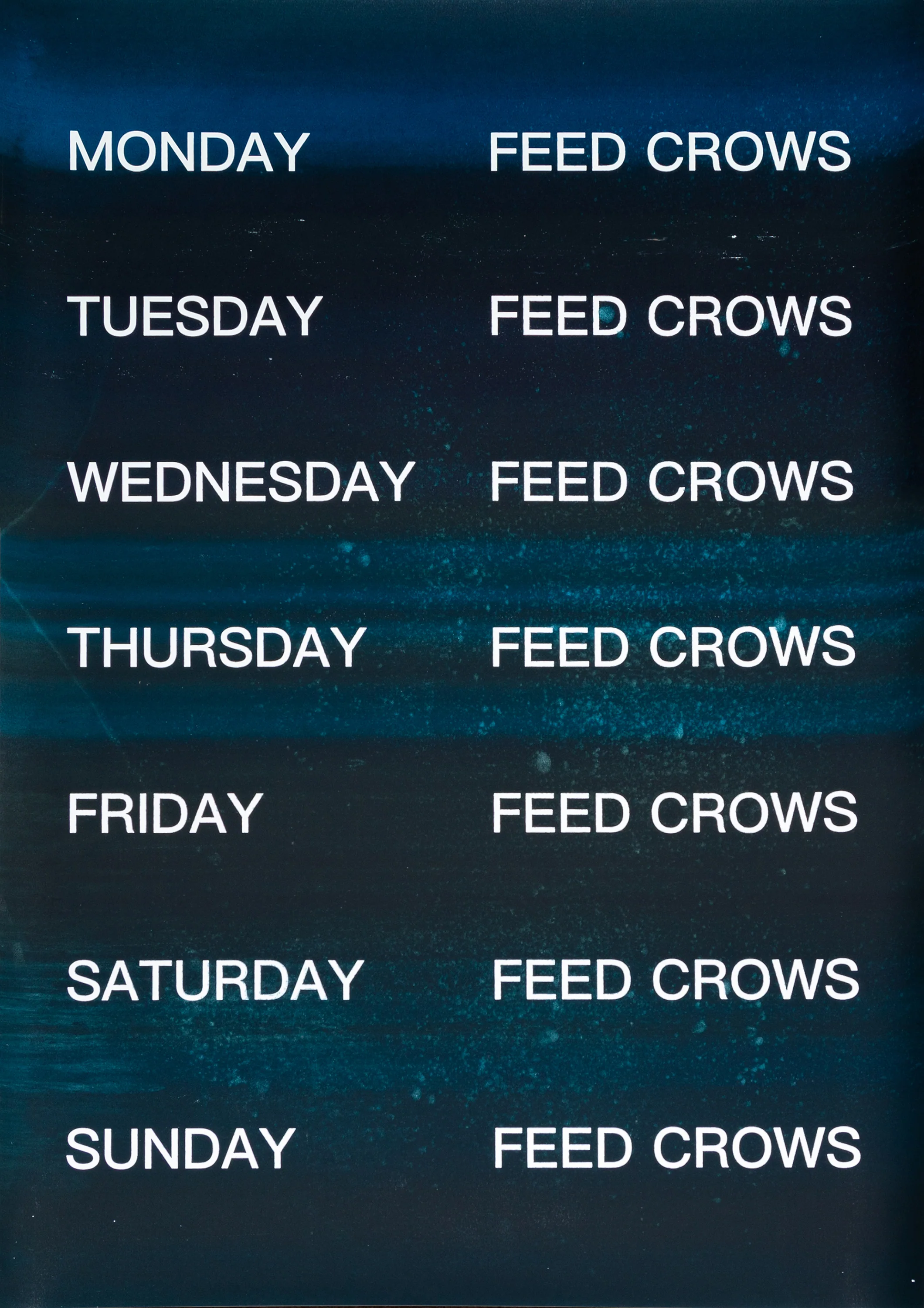 David Horvitz - Feed Crows (Print) - Image 29