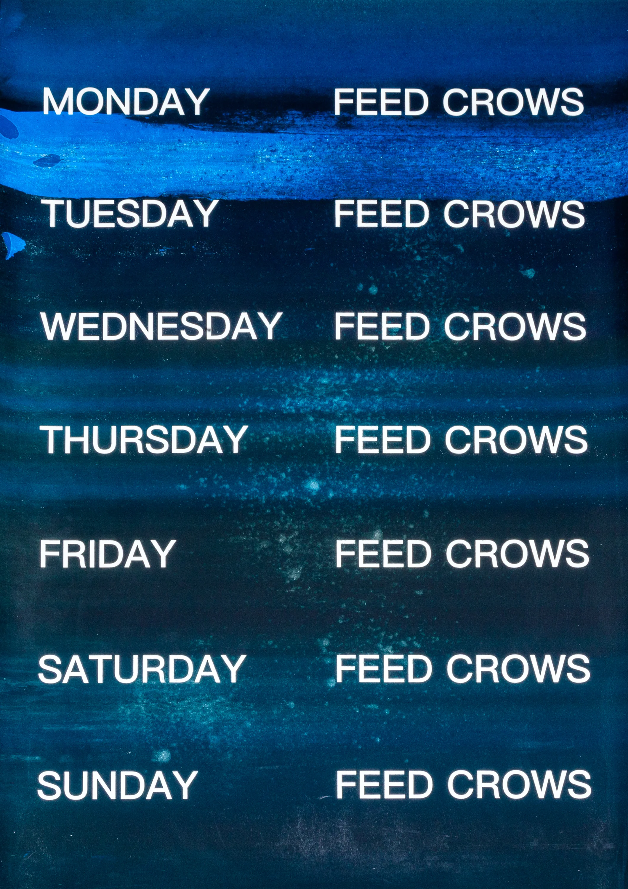 David Horvitz - Feed Crows (Print) - Image 31