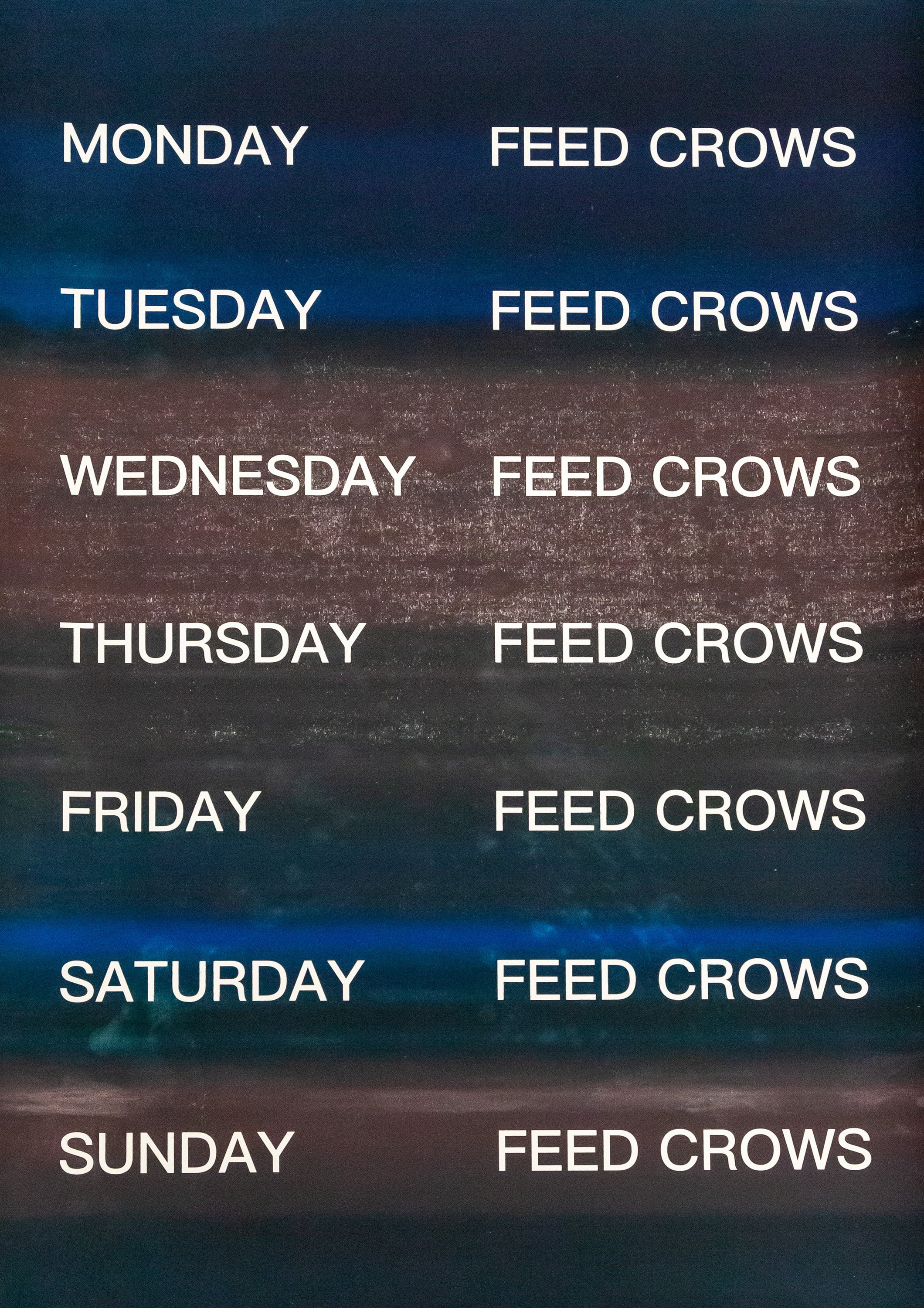 David Horvitz - Feed Crows (Print) - Image 6