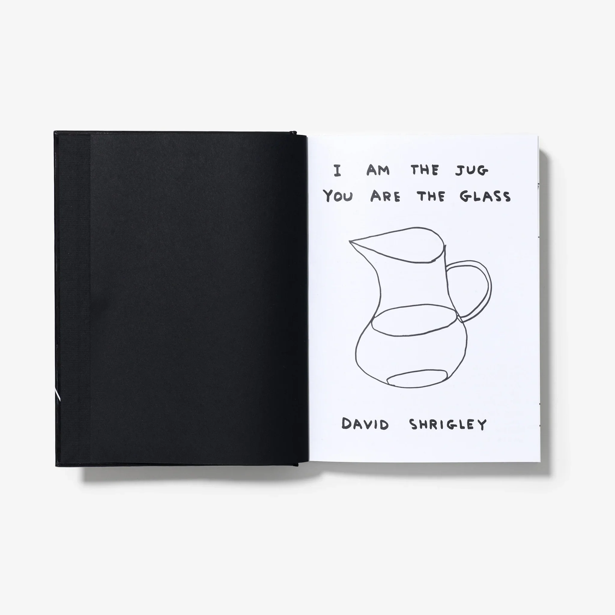 David Shrigley - I am the jug you are the glass - Image 3