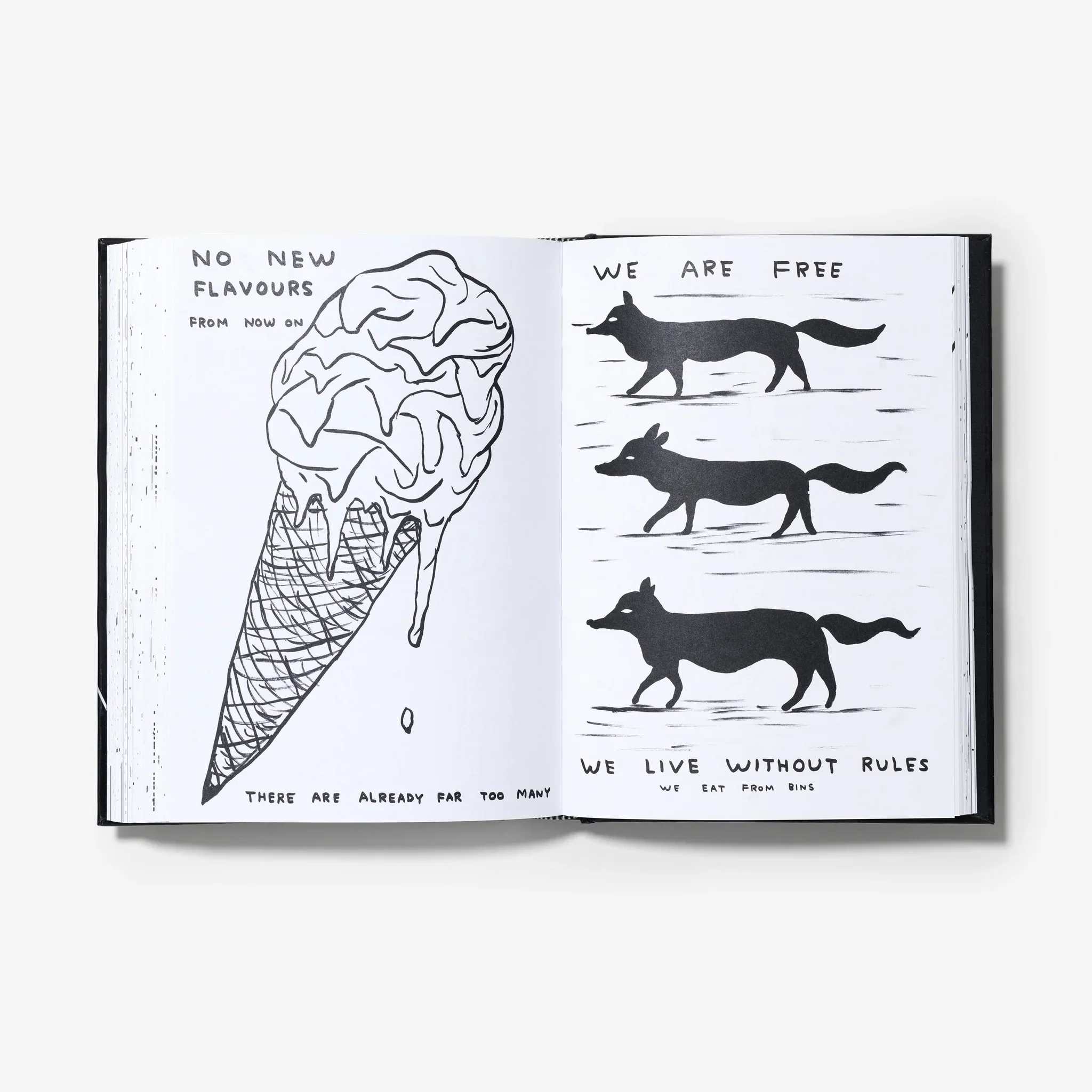 David Shrigley - I am the jug you are the glass - Image 8
