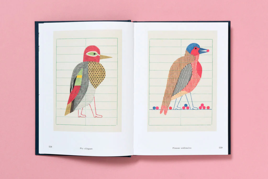Emanuele Coccia, Jochen Gerner - Oiseaux (Inventaire chromatique réel et imaginaire) - Image 5