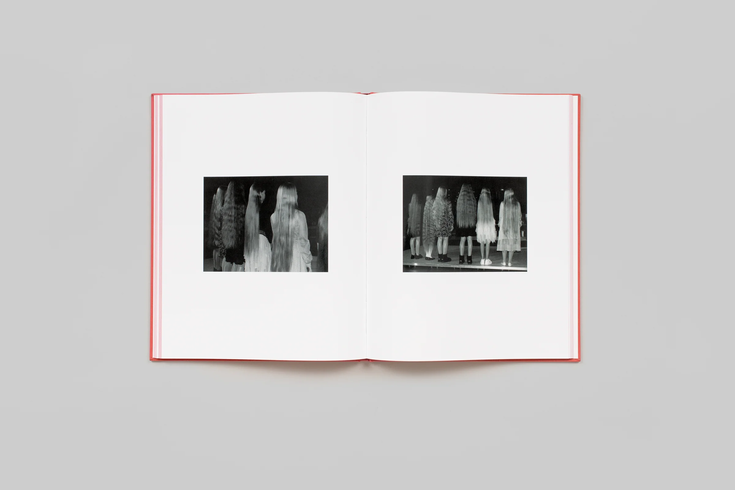 Francesca Allen - Konkursas - Image 8