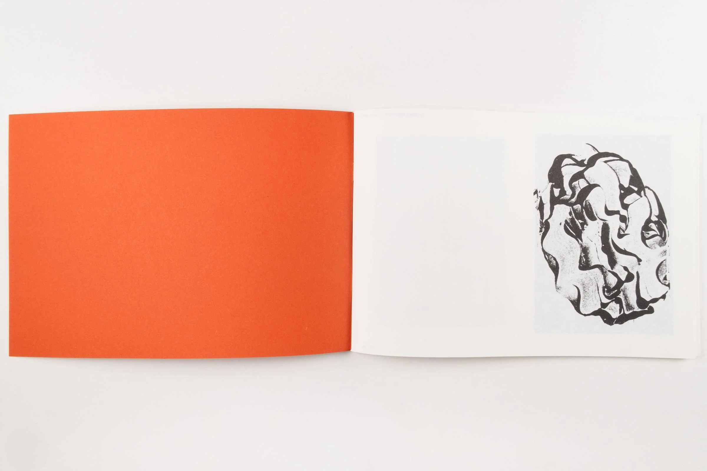 Hikari Ono - On a Still Surface - Image 4