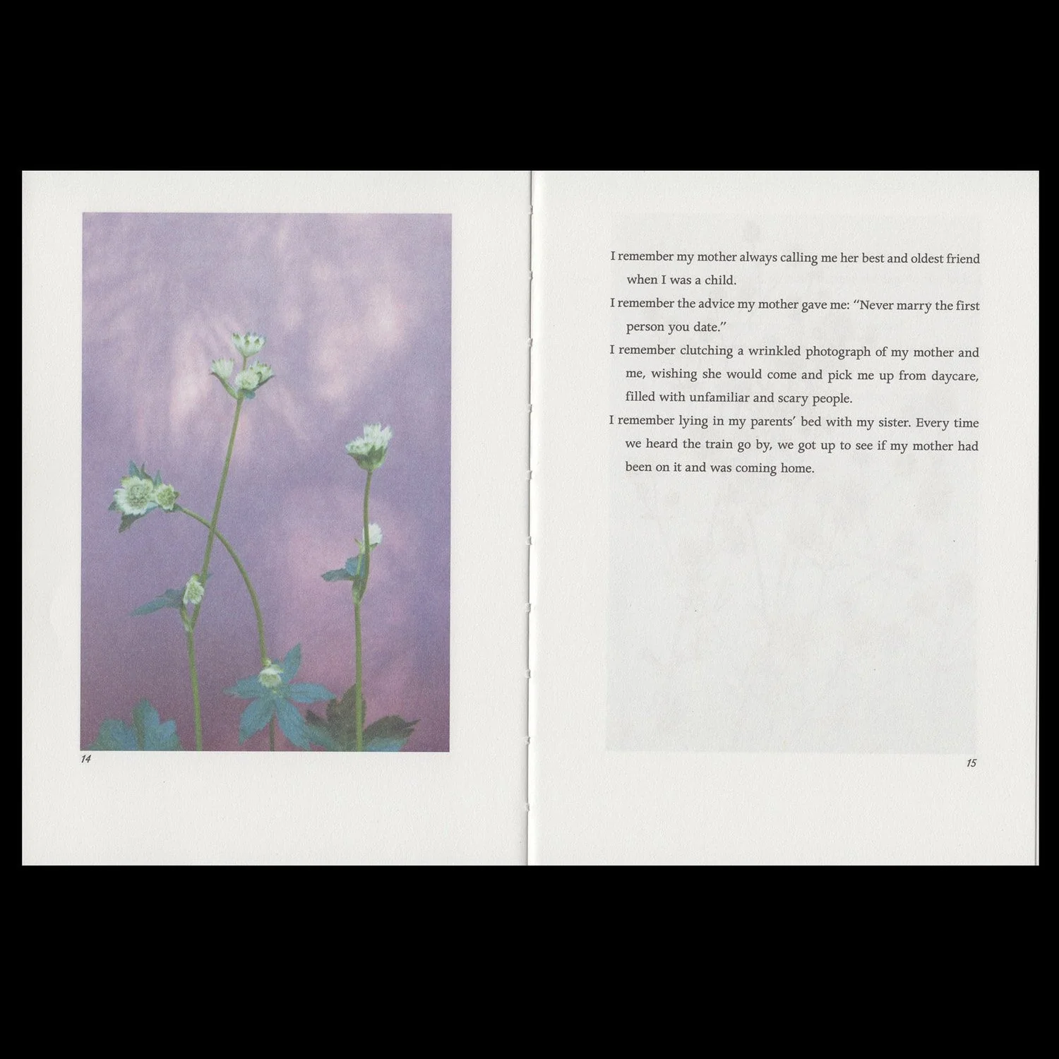 Hilla Kurki - Almost All the Flowers in My Mother’s Garden - Image 7