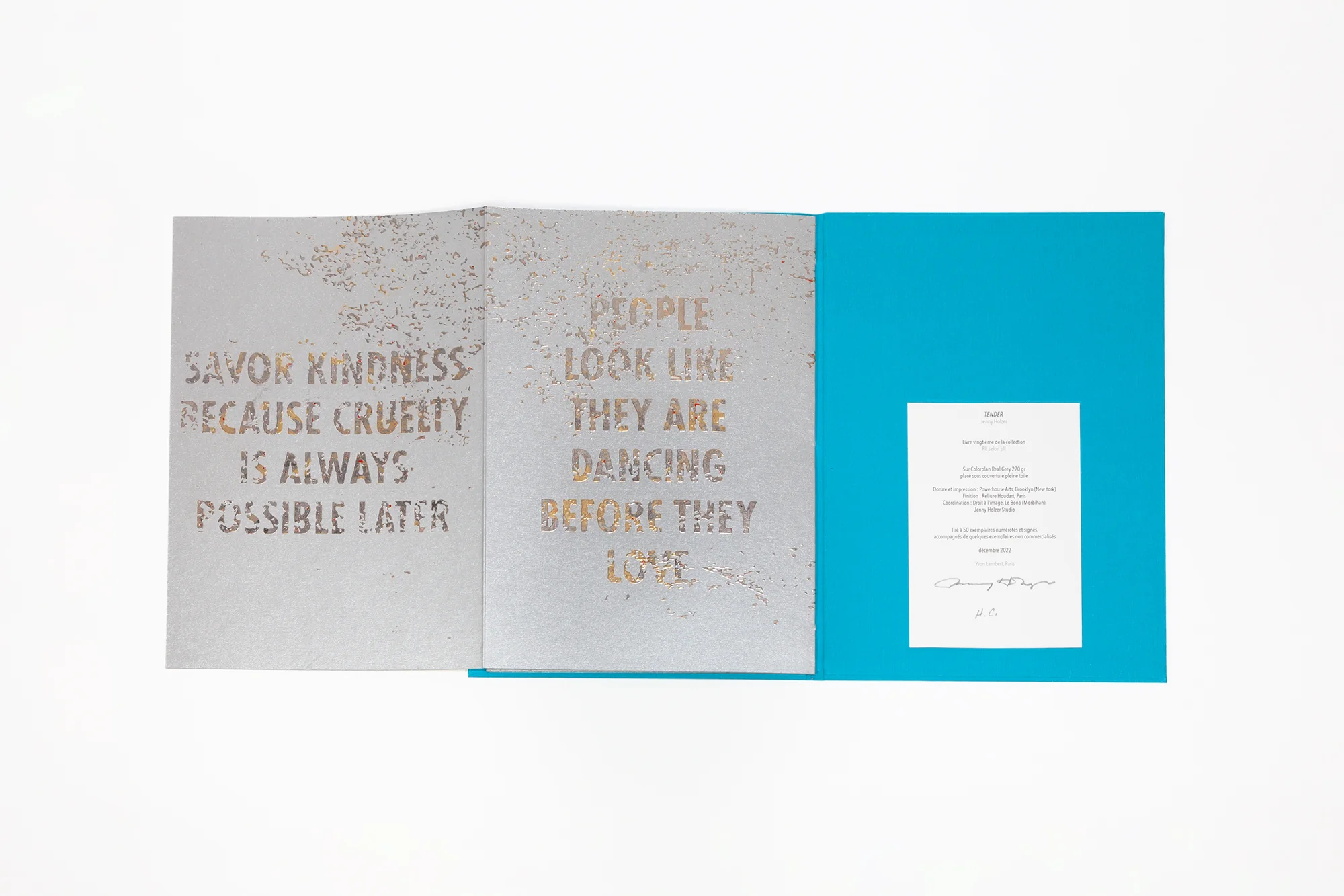 Jenny Holzer - Tender - Image 11
