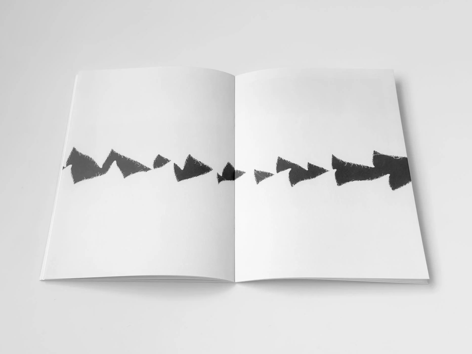 Jochen Lempert - Hakage - Image 8