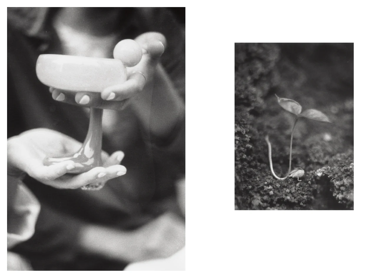 Jochen Lempert - Local Ecology - Moulin des Ribes - Image 7