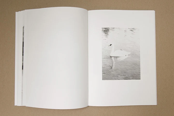 Jochen Lempert - Paare / Pairs - Image 31