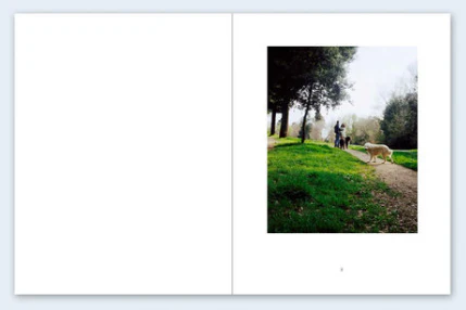 John Divola - Seven Dogs - Image 6