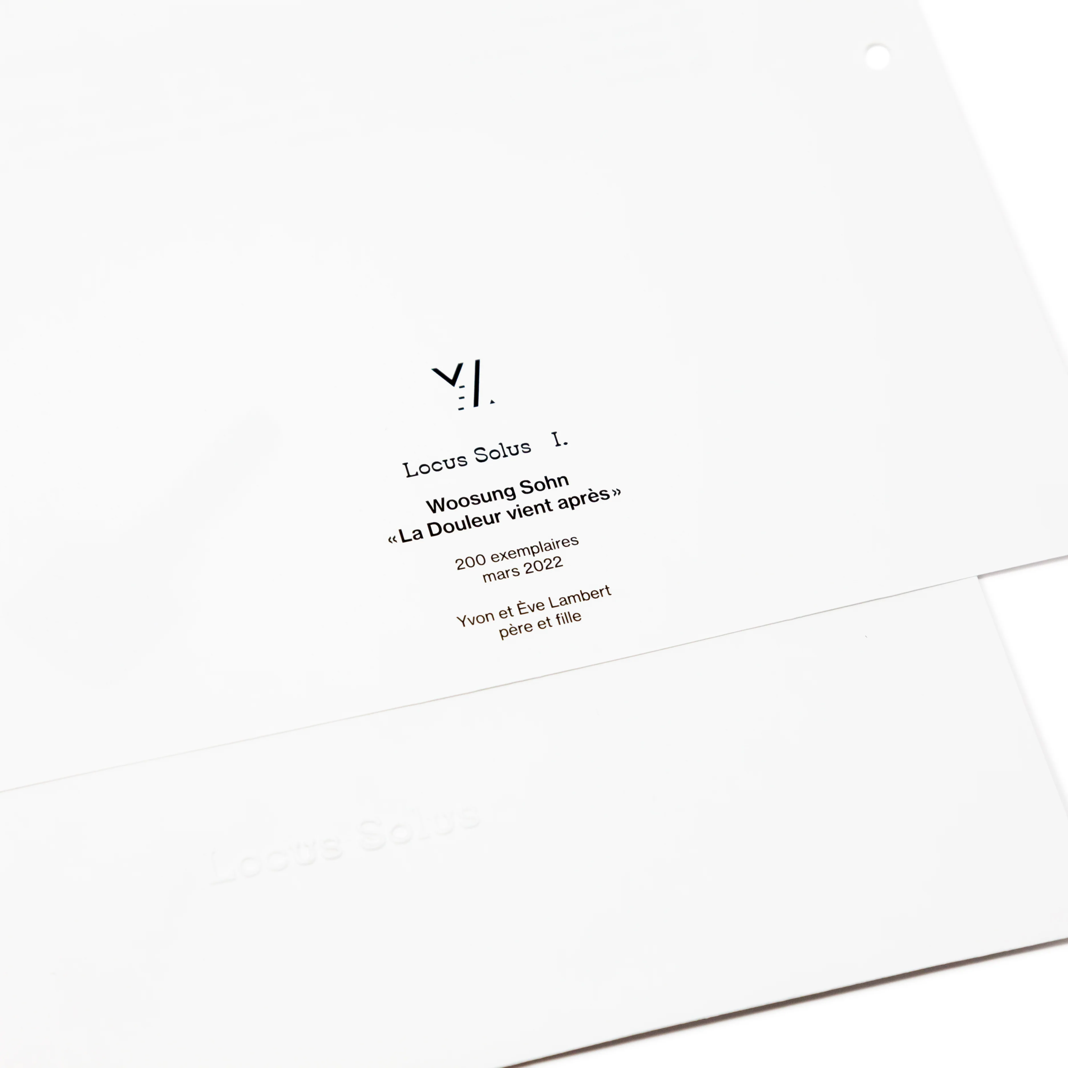 Locus Solus I. - Woosung Sohn - Image 5