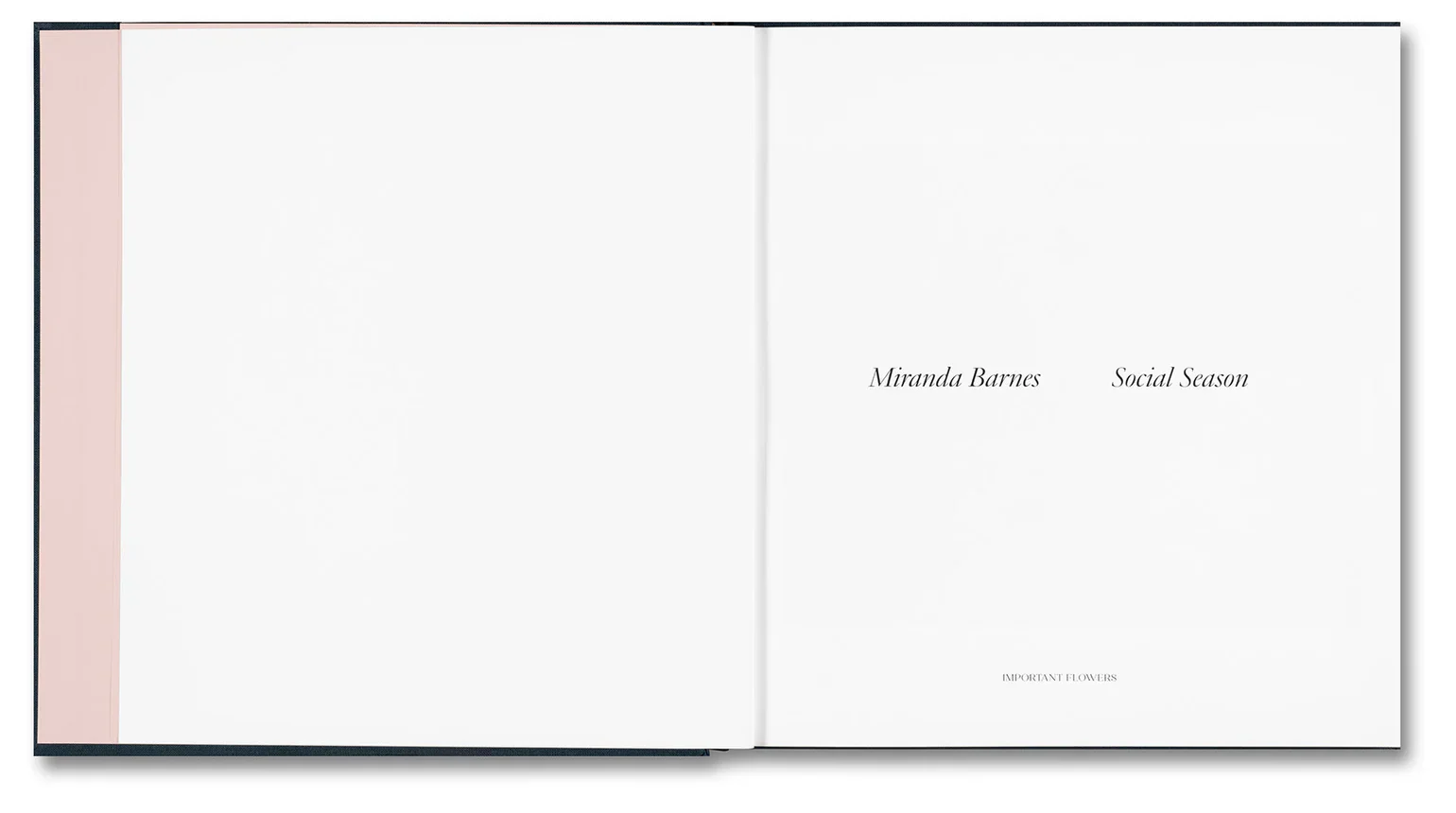 Miranda Barnes - Social Season - Image 4