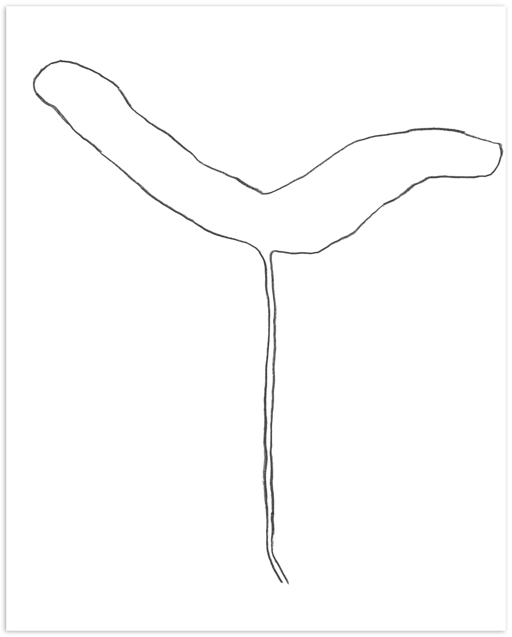 Nigel Peake <br><em>Propellor (Sycamore)</em>, 2020 - Image 3