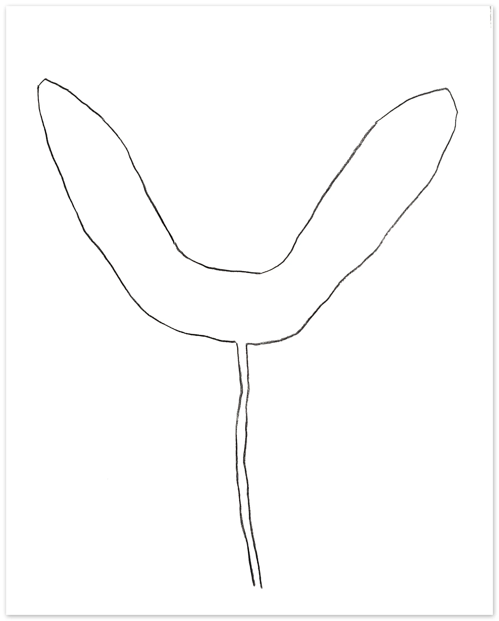 Nigel Peake <br><em>Propellor (Sycamore)</em>, 2020 - Image 4