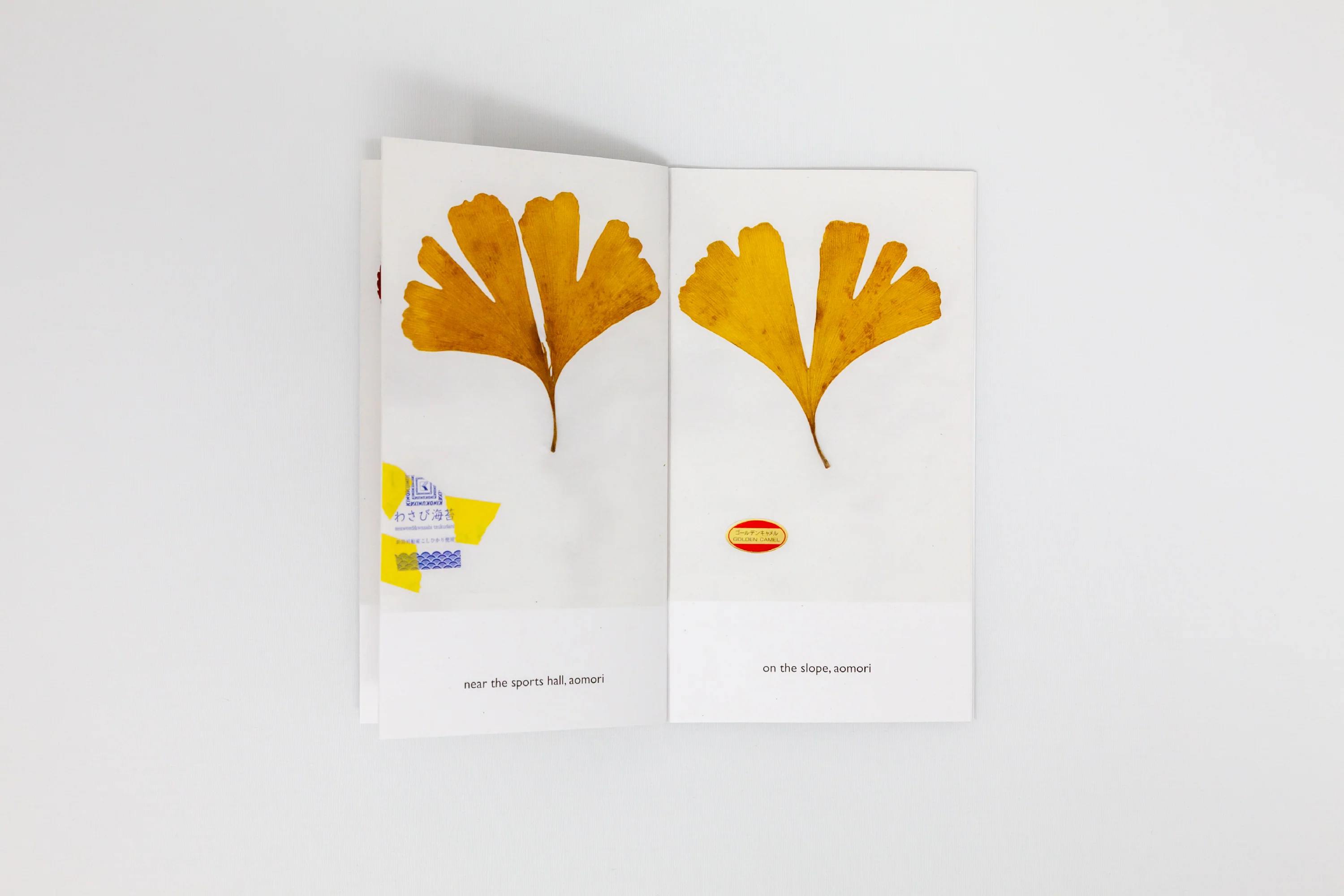 Nigel Peake - The Sound of a Leaf Falling - Image 8