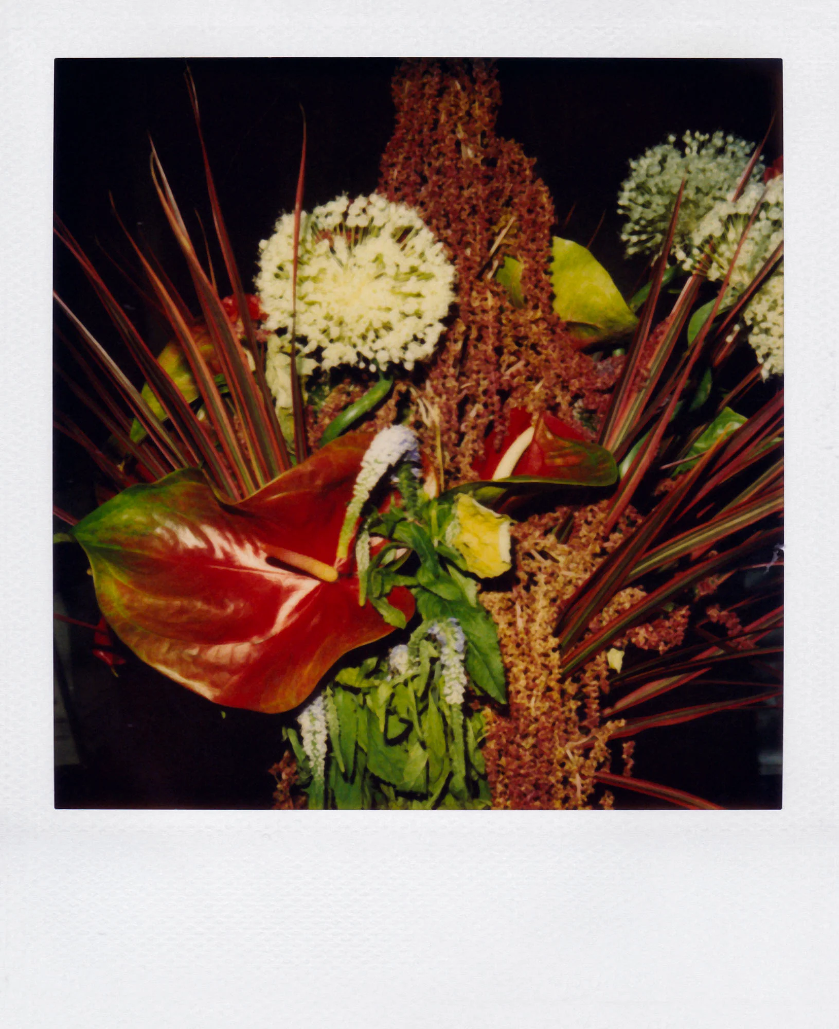 Nobuyoshi Araki <br><em>Flower</em>, 2006-2009 - Image 20