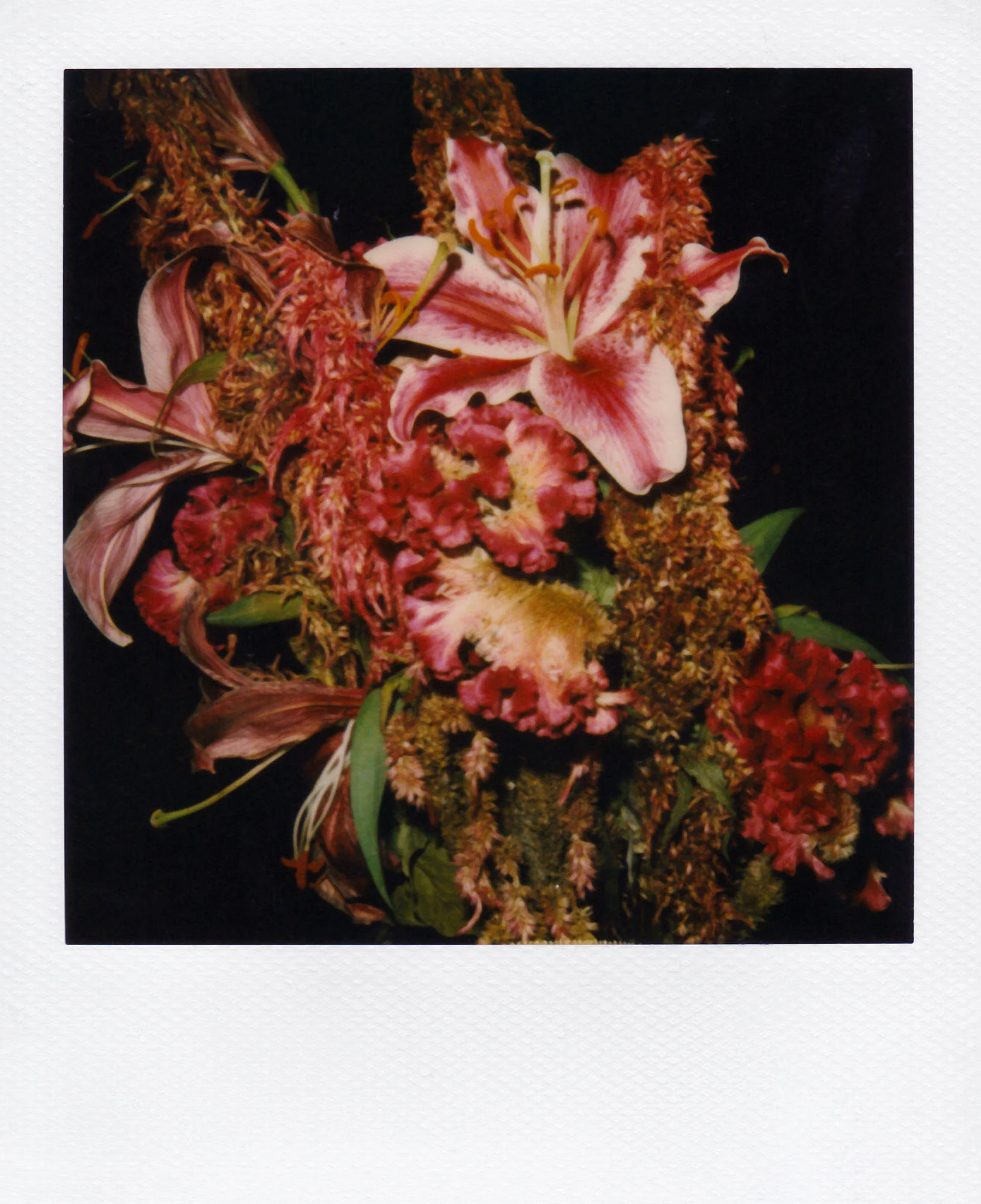 Nobuyoshi Araki <br><em>Flower</em>, 2006-2009 - Image 26