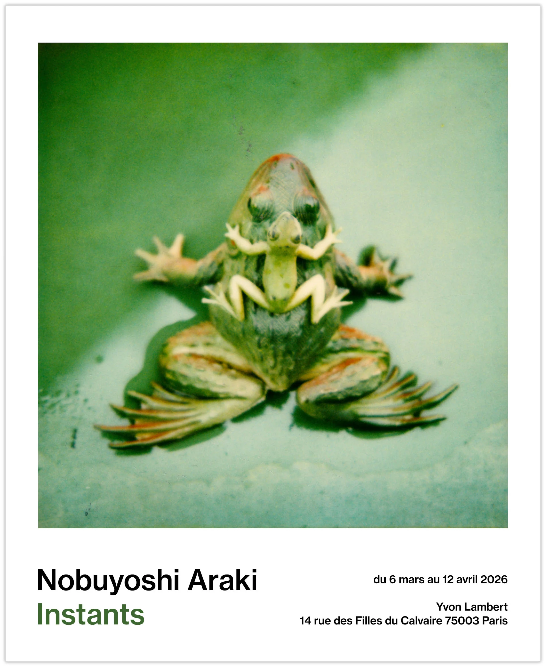 Nobuyoshi Araki - Instants (Poster) - Image 4