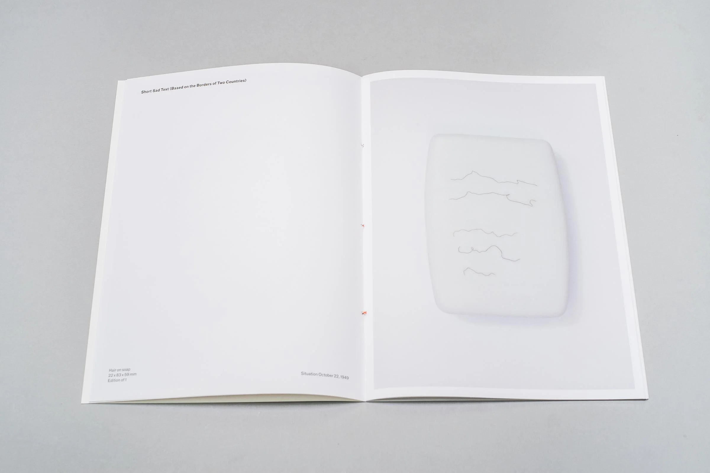 Oksana Pasaiko - Collected Poems (Limited Japanese edition) - Image 7