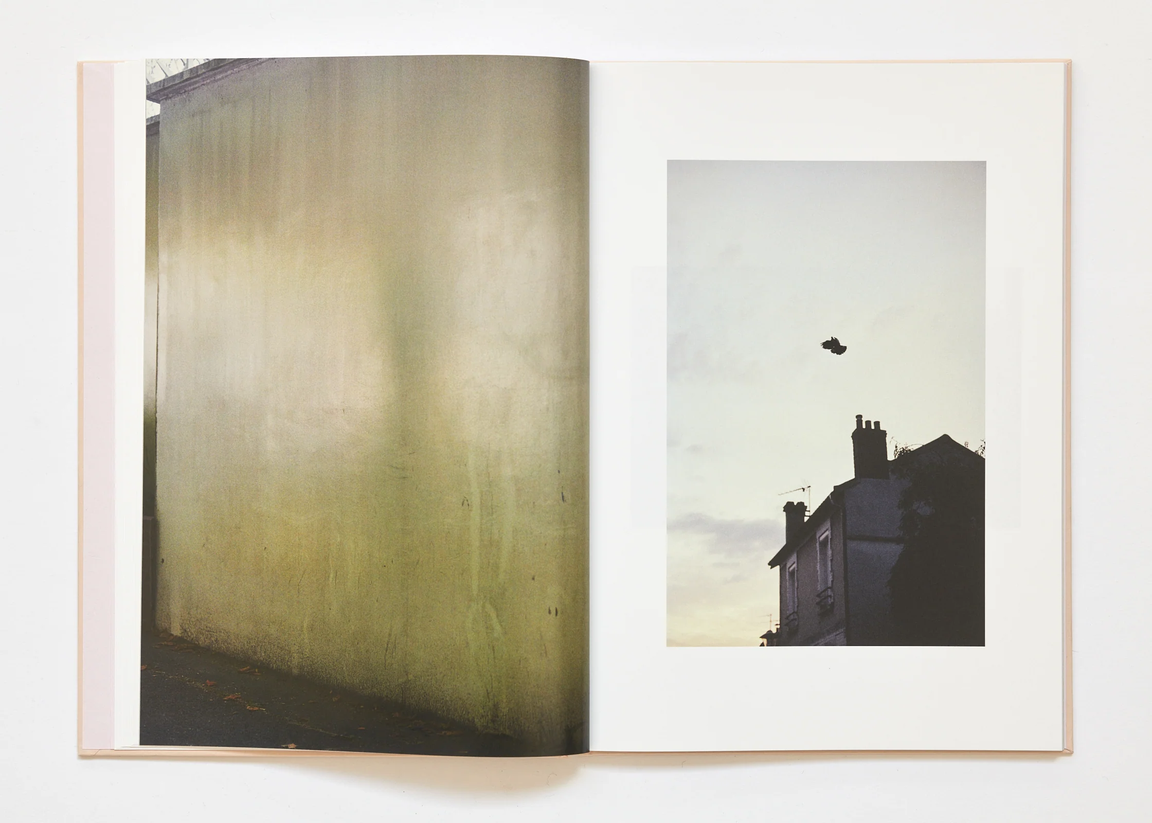 Ola Rindal - The Cloud the Bird and the Puddle - Image 10