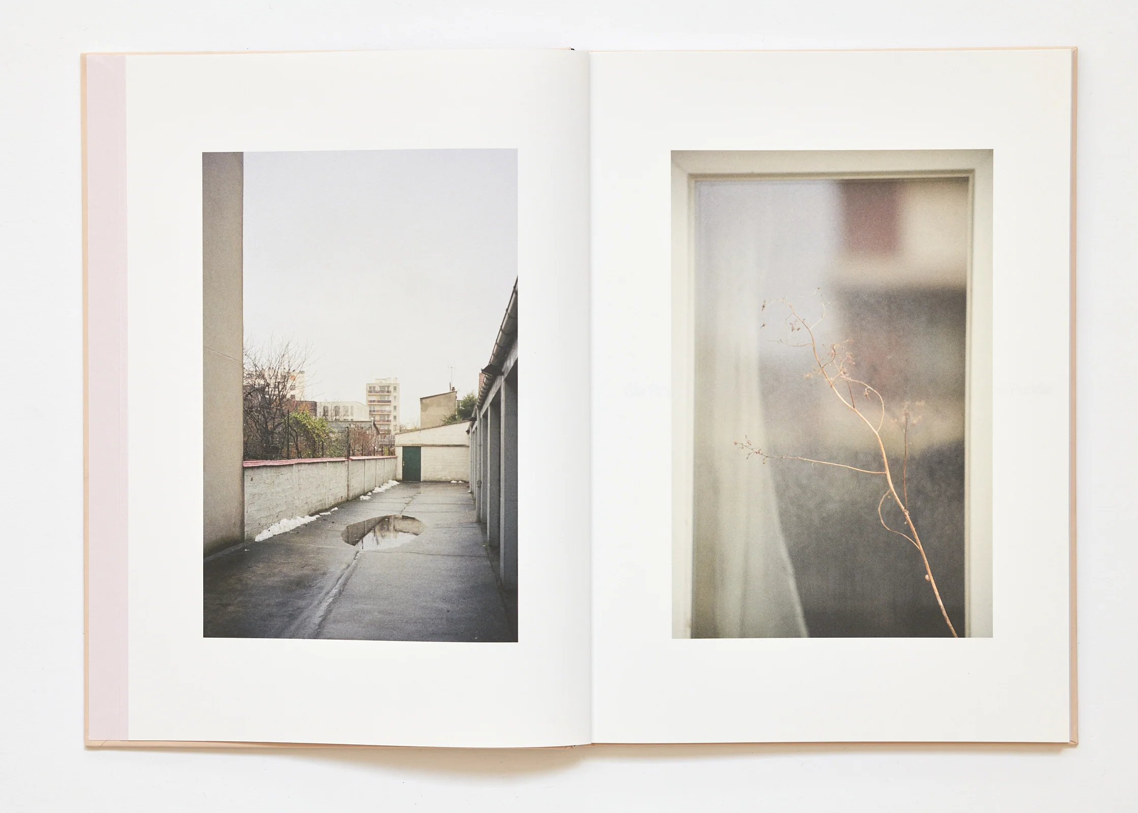 Ola Rindal - The Cloud the Bird and the Puddle - Image 4