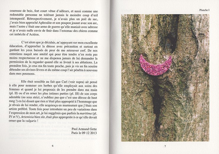 Paul Armand Gette - Divertissements botaniques (édition de tête) - Image 3
