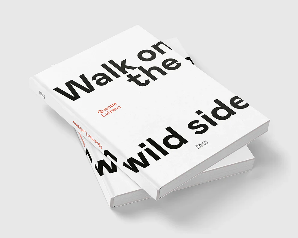 Quentin Lefranc - Walk on the wild side - Image 2