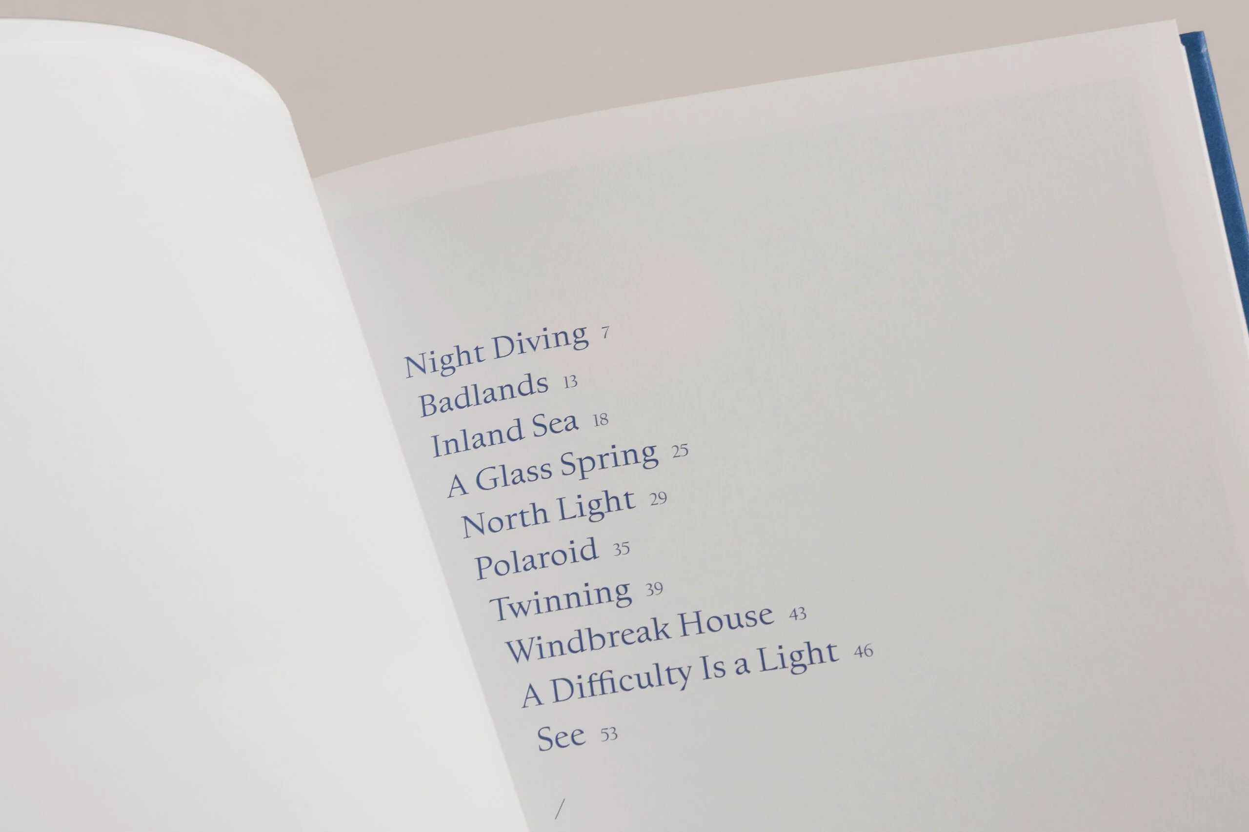 Rebecca Norris Webb - A Difficulty Is a Light - Image 5
