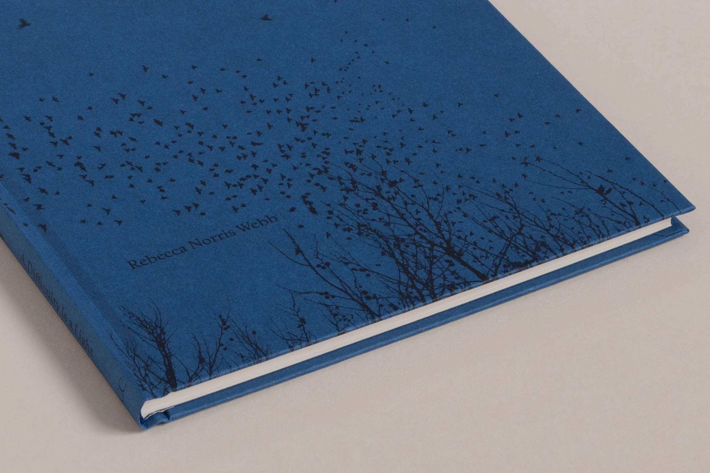 Rebecca Norris Webb - A Difficulty Is a Light - Image 7