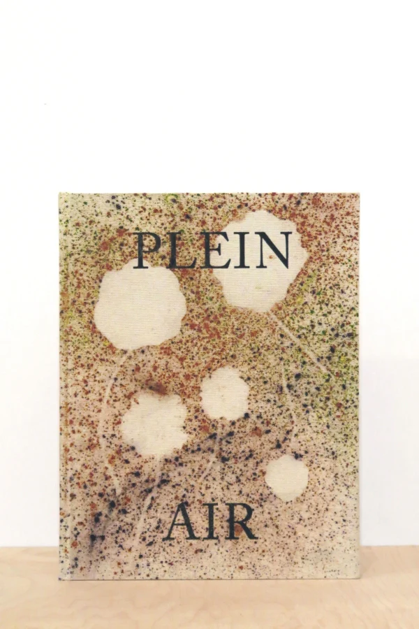 Sam Falls - Plein Air (Special Edition) - Image 2