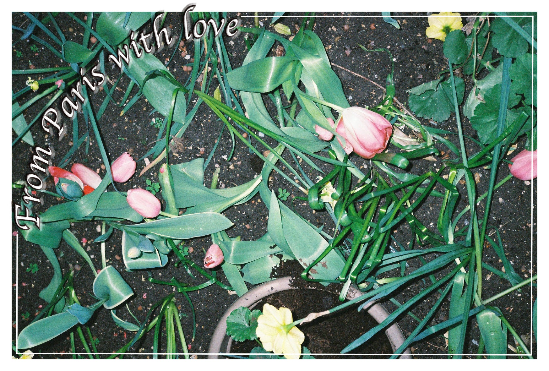 Sinae Lee - Paris (Postcards) - Image 10