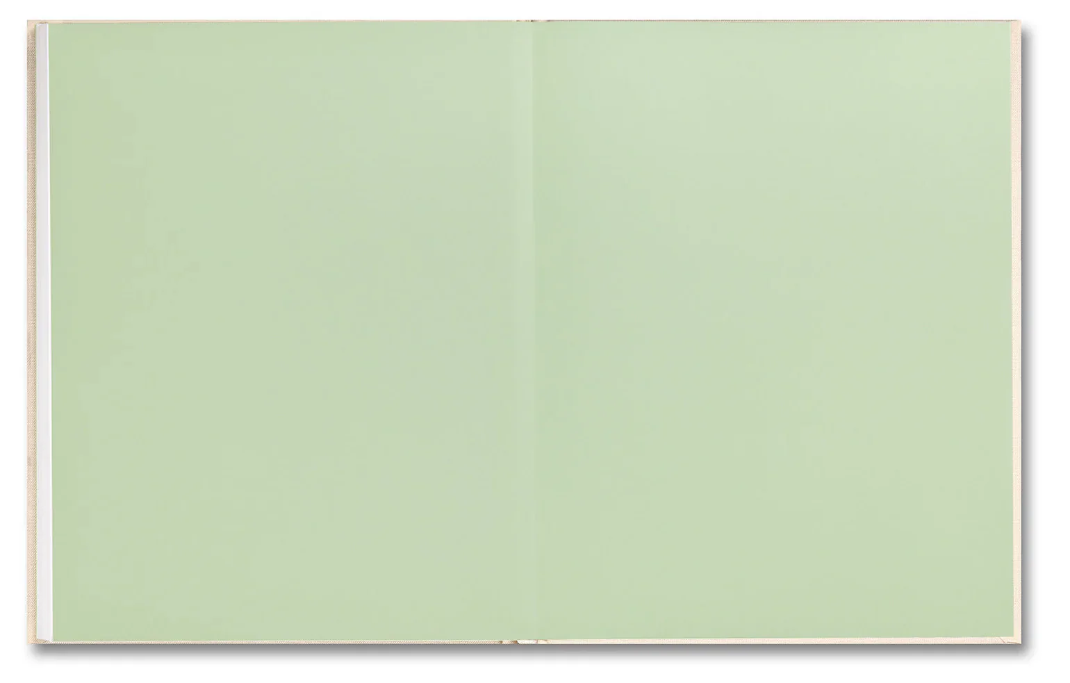 Sofia Coppola (ed.) & Corinne Day - The Virgin Suicides, Important Flowers - Image 27