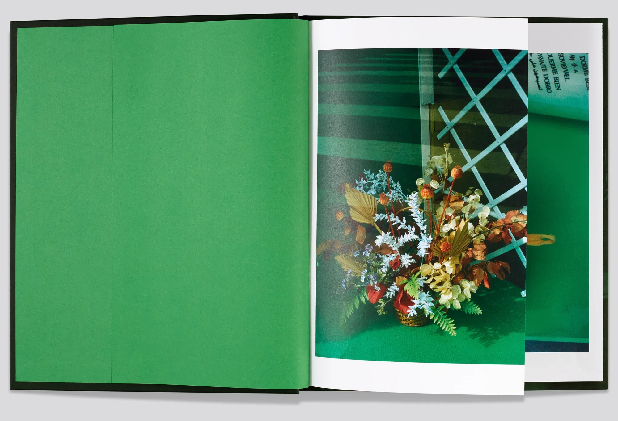 Viviane Sassen - Folio - Image 4